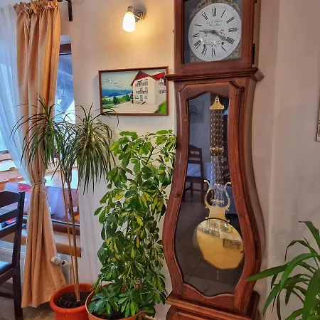 Pensiunea La Bunica Ruginesti