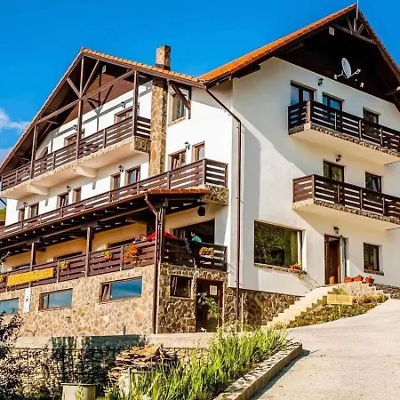 Guest house Pensiunea La Bunica Ruginesti